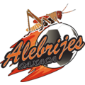 Alebrijes Oaxaca